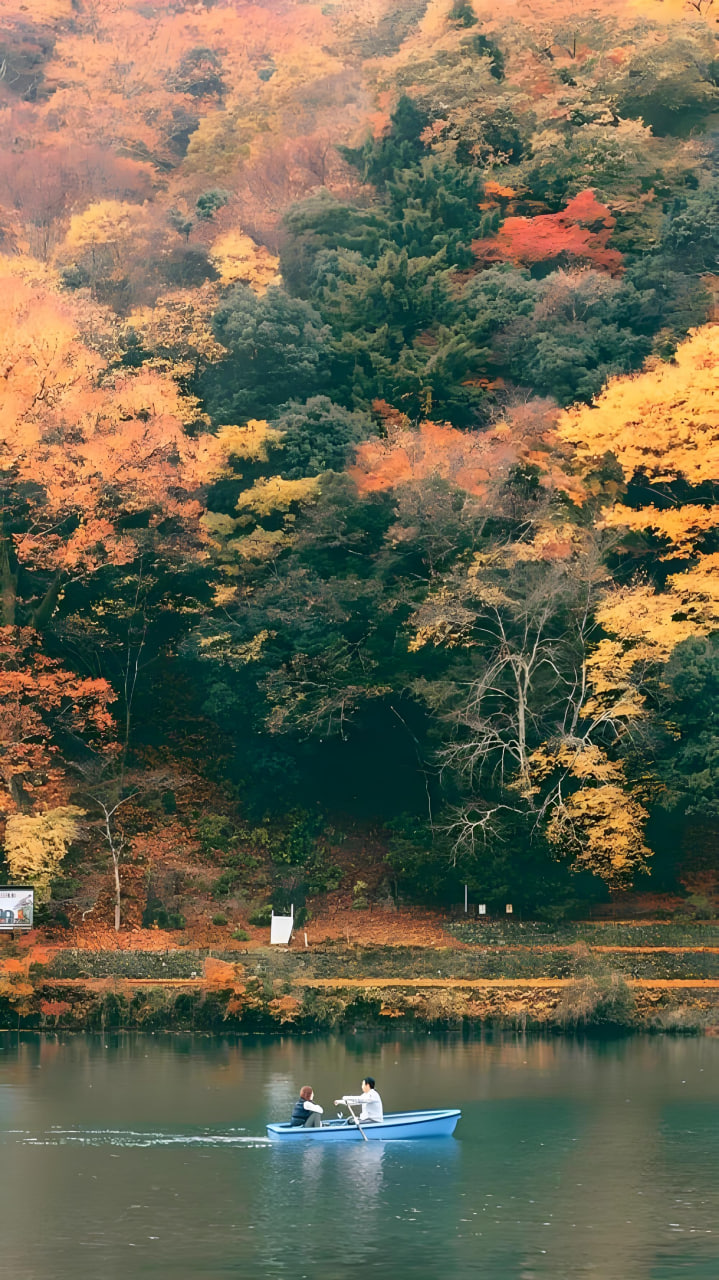 皇马队
